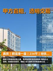 真房｜颐堤港一座｜234平｜地铁上盖｜南向采光 - 缩略图 1