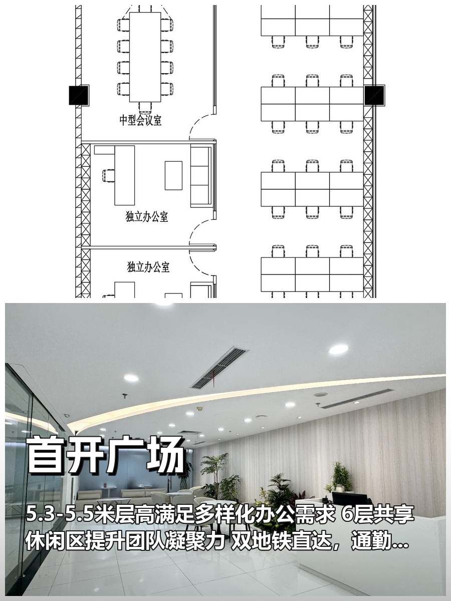 望京企业如何平衡空间与效率？