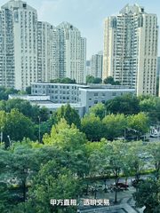 错过望京补贴，团队差点散伙 - 缩略图 11