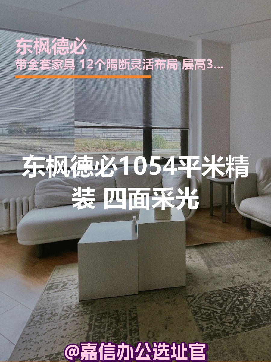 东枫德必1054平米精装独栋 四面采光