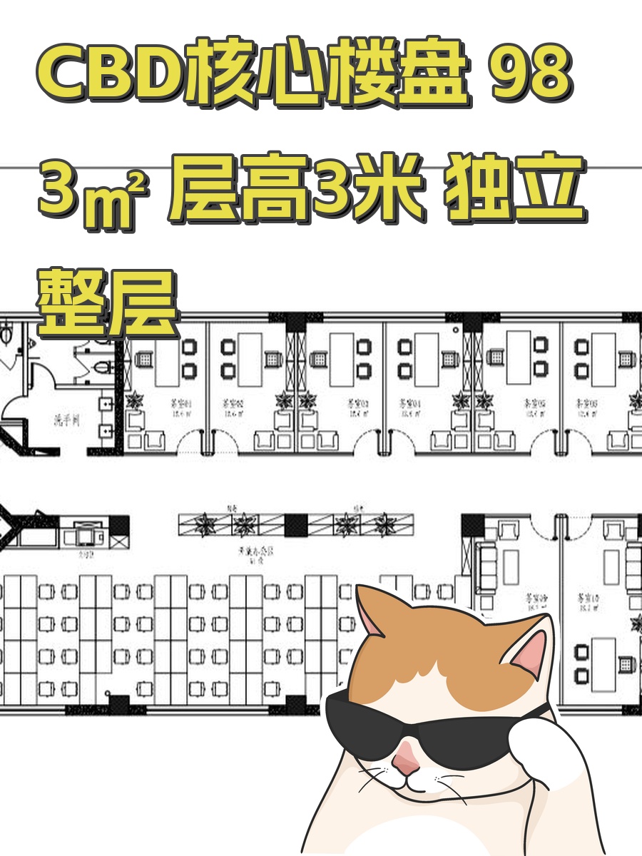 CBD核心楼盘 983㎡ 层高3米 独立整层