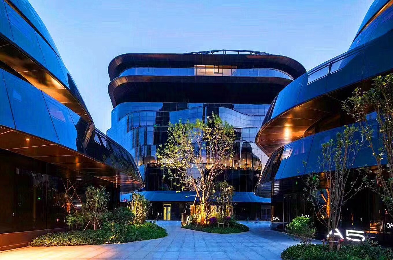 🌆公园旁，我的创业节奏