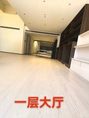 高塔艺术广场300平独栋独院 - 缩略图 6