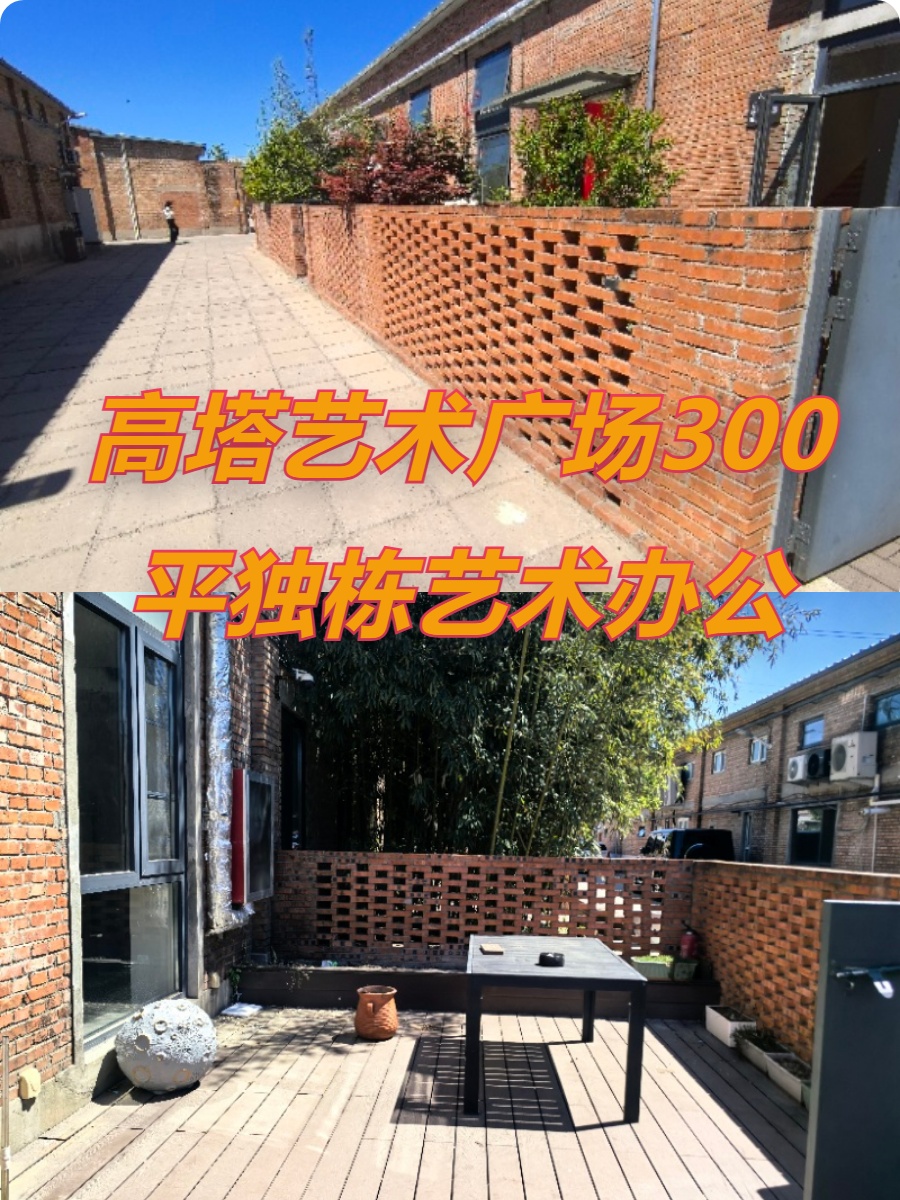 高塔艺术广场300平独门独院