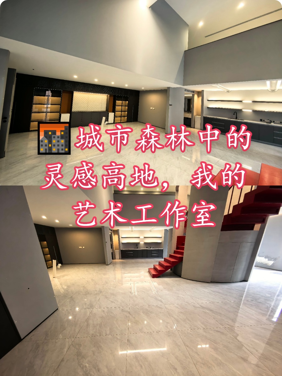 🌆城市森林中的灵感高地，我的艺术工作室
