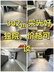 302㎡采光好独院，价格可谈 - 缩略图 1