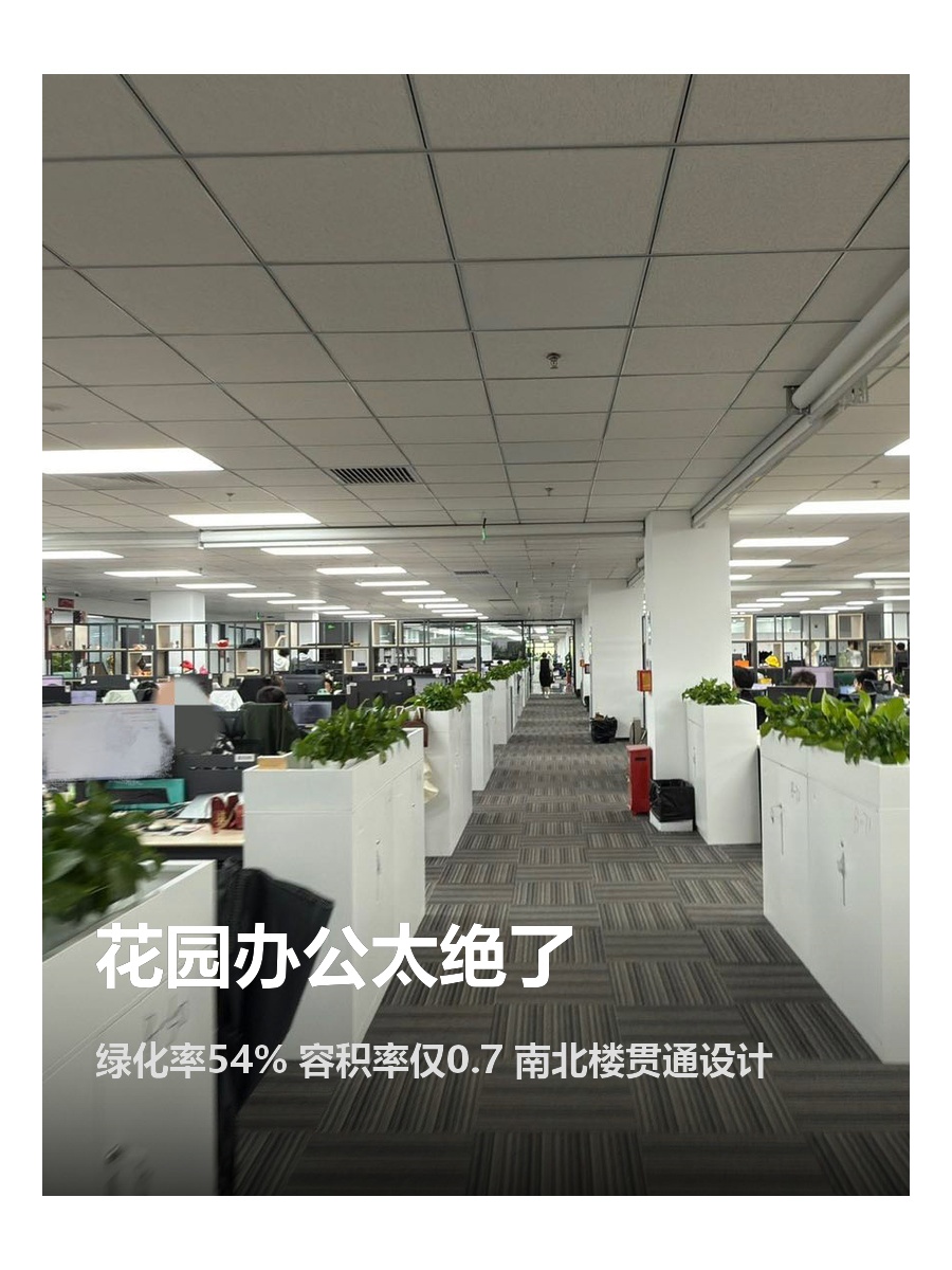 花园办公太绝了