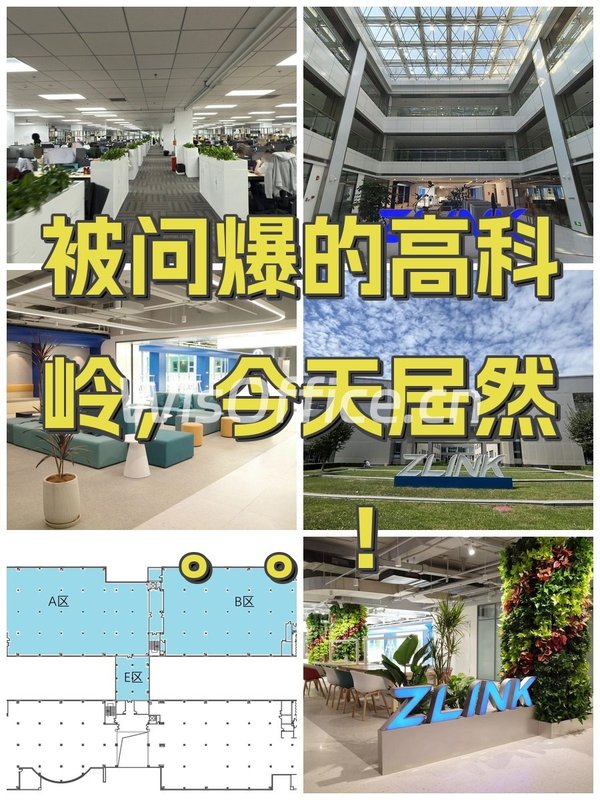 被问爆的高科岭，今天居然。。！ - 首图