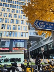 真房｜魏公村【北京·国际】|623平|7元|国企云集地标 - 缩略图 6