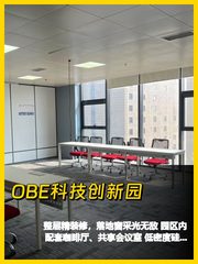 1191平整层，采光绝了 - 缩略图 1