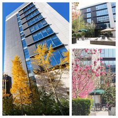 选园区别只看租金，这点更关键 - 缩略图 6