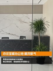 亦庄宝藏办公地 藏风聚气 - 缩略图 1