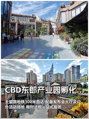 文创圈沸腾！郎园孵化器双露台办发布会 - 缩略图 1