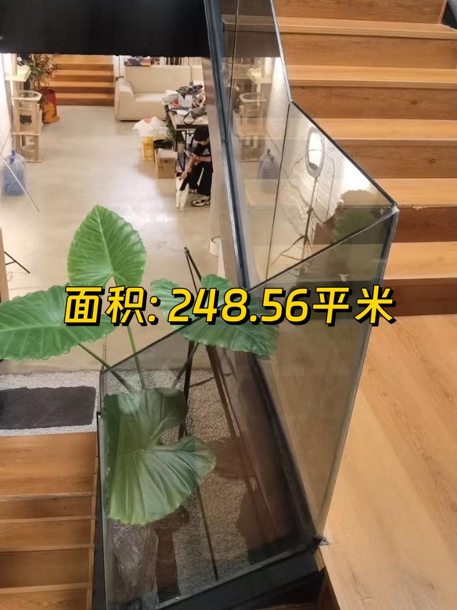 CBD现房写字园248平 南向采光