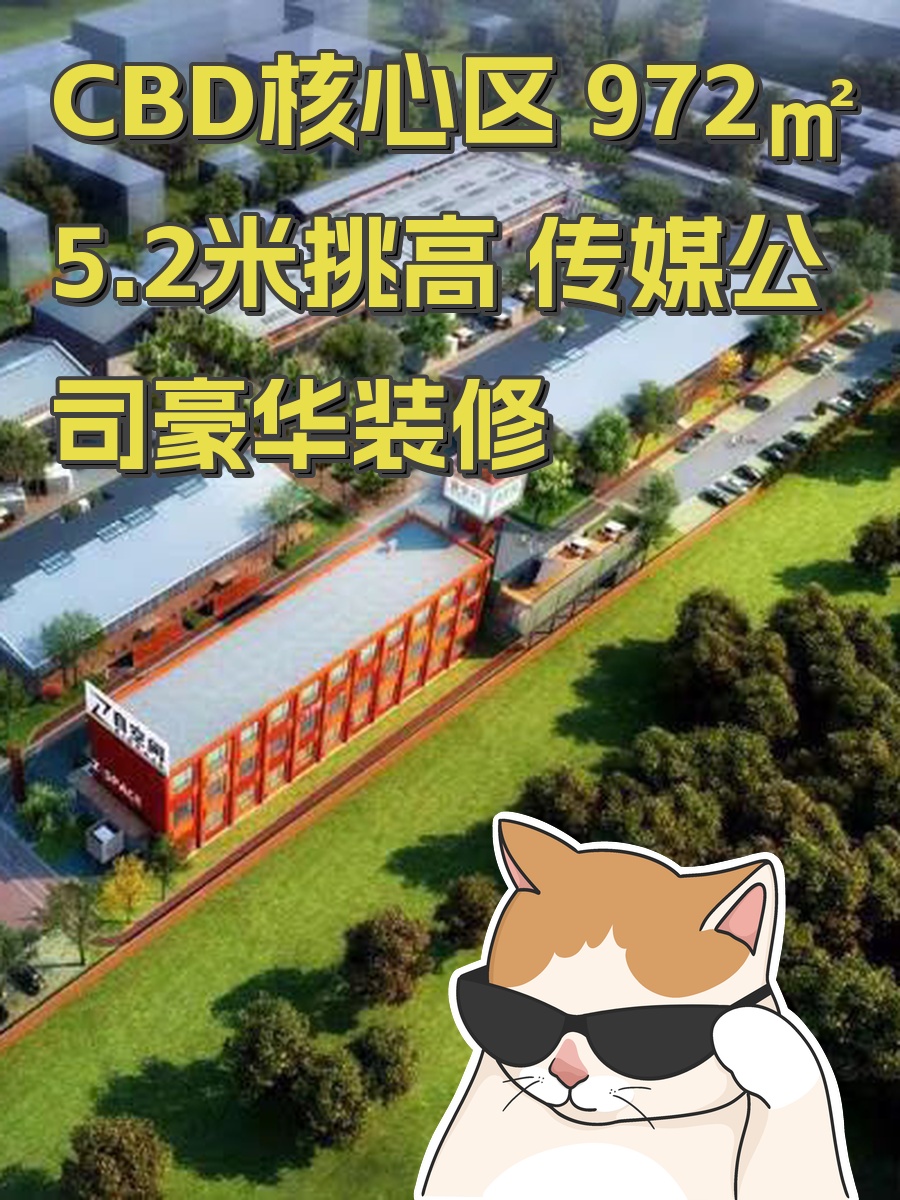 CBD核心区 972㎡ 5.2米挑高 传媒公司豪华装修