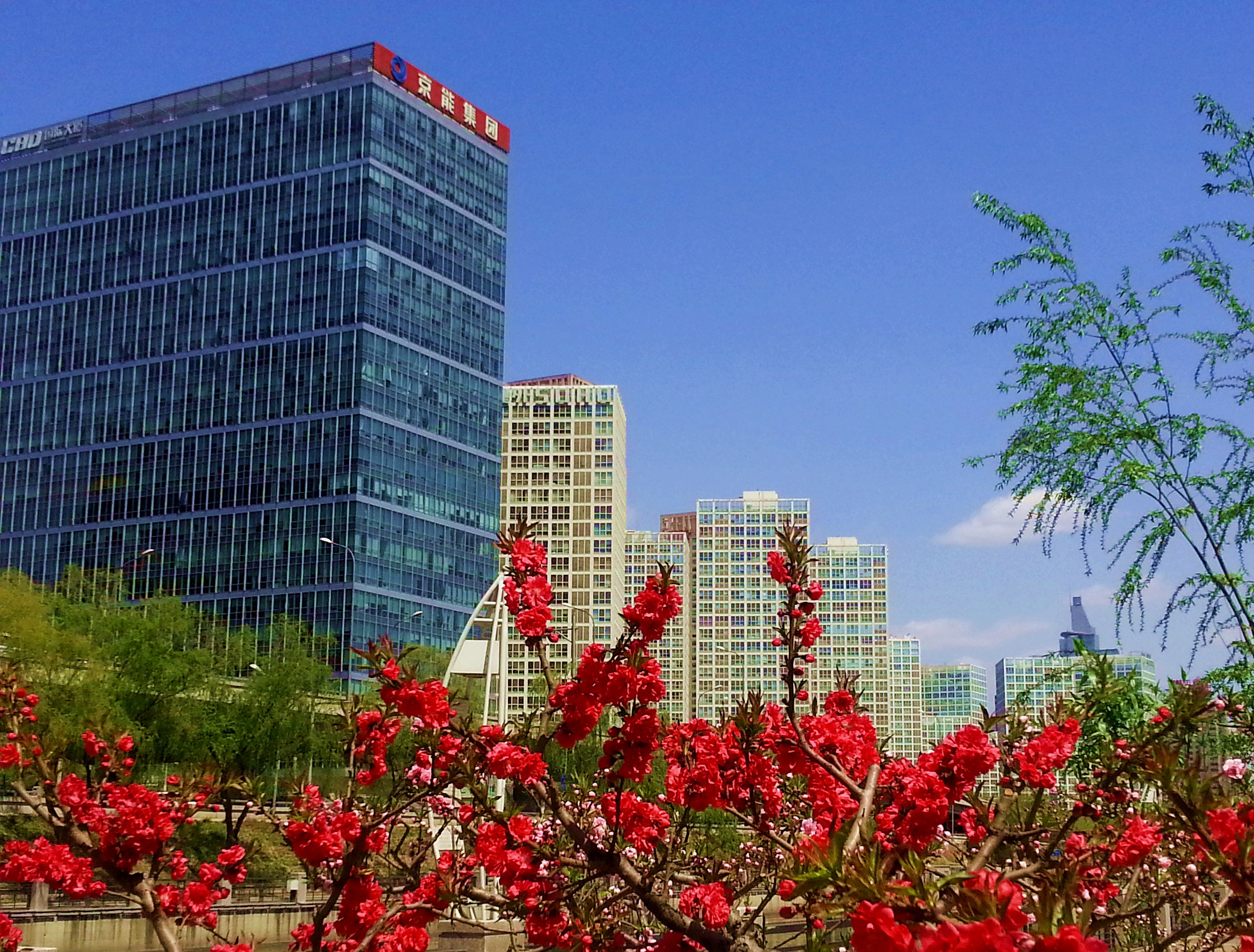 CBD国际大厦17层358平景观办公