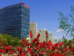 CBD现房358平双地铁带全套家具 - 缩略图 2