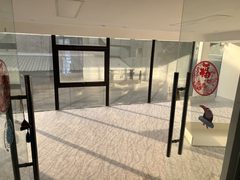 双桥现房 596平 独栋带露台 双地铁 - 缩略图 10