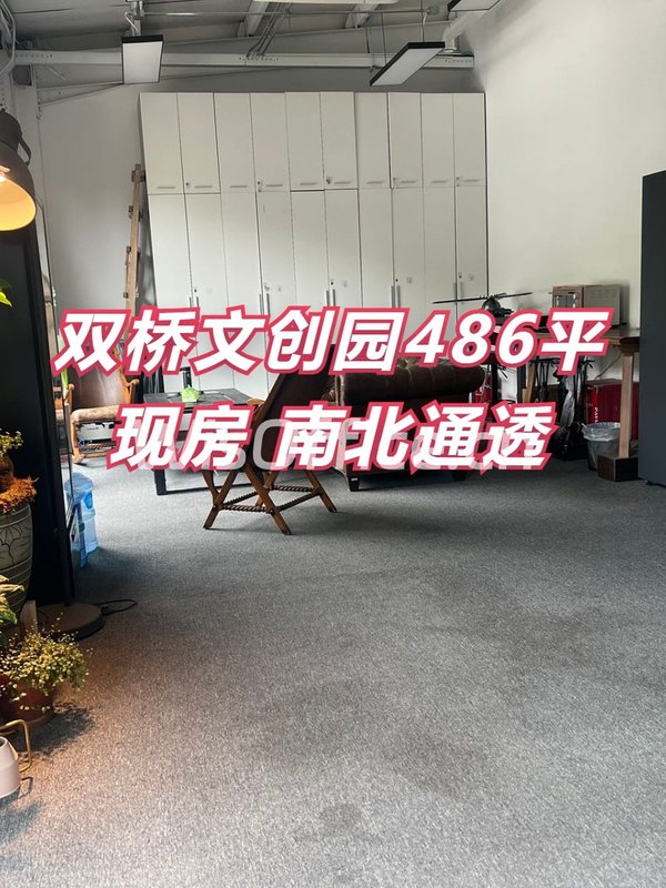 双桥文创园486平 现房 南北通透 - 首图