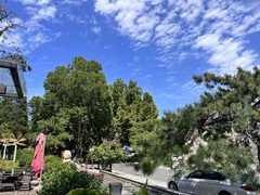 推荐DREAM 2049独栋480平双院落地窗 - 缩略图 19