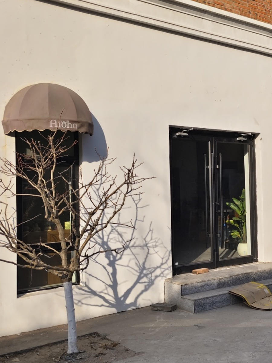 成本优势优选 316㎡  双桥地铁旁