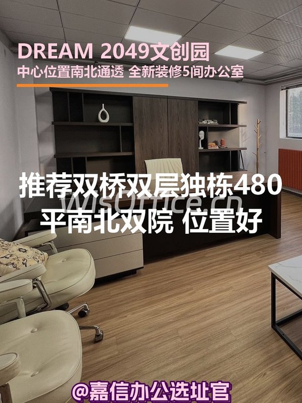 推荐DREAM 2049独栋480平双院 - 首图