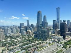 CBD现房IFC2304平 双地铁 带家具 新装修 - 缩略图 16