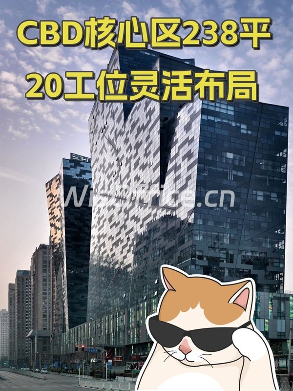 CBD核心区238平 20工位灵活布局 - 首图
