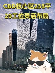 CBD核心区238平 20工位灵活布局 - 缩略图 1