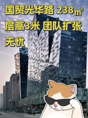 国贸光华路 238㎡ 层高3米 团队扩张无忧 - 缩略图 1
