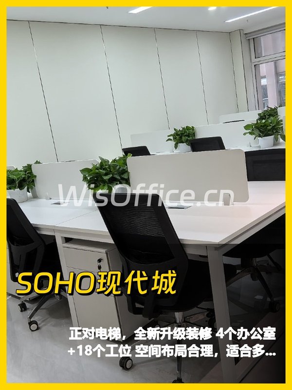 大望路正对电梯238平全新装修 - 首图