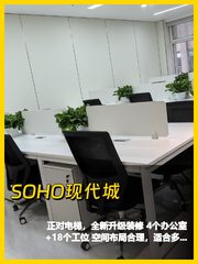 大望路正对电梯238平全新装修 - 缩略图 1