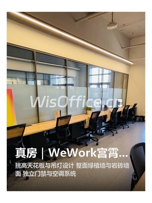 真房｜WeWork宫霄国际 |35㎡起 |998 |共享空间新体验 - 首图