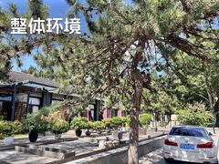双桥独栋550平 新装修 双地铁 南向采光 - 缩略图 14