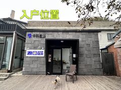 双桥独栋480平 南北双院 新装修 双地铁 - 缩略图 3