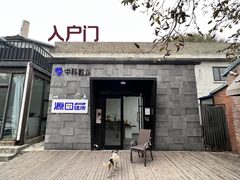 双桥独栋480平 新装修 双院 南向 - 缩略图 3