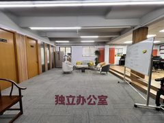 双桥独栋480平 新装修 双院 南向 - 缩略图 10