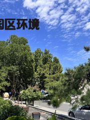 双桥独栋550平南北通透 新装修近地铁 - 缩略图 15