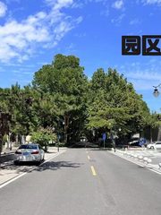 双桥独栋550平南北通透 新装修近地铁 - 缩略图 11