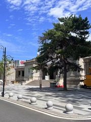 双桥独栋550平南北通透 新装修近地铁 - 缩略图 12