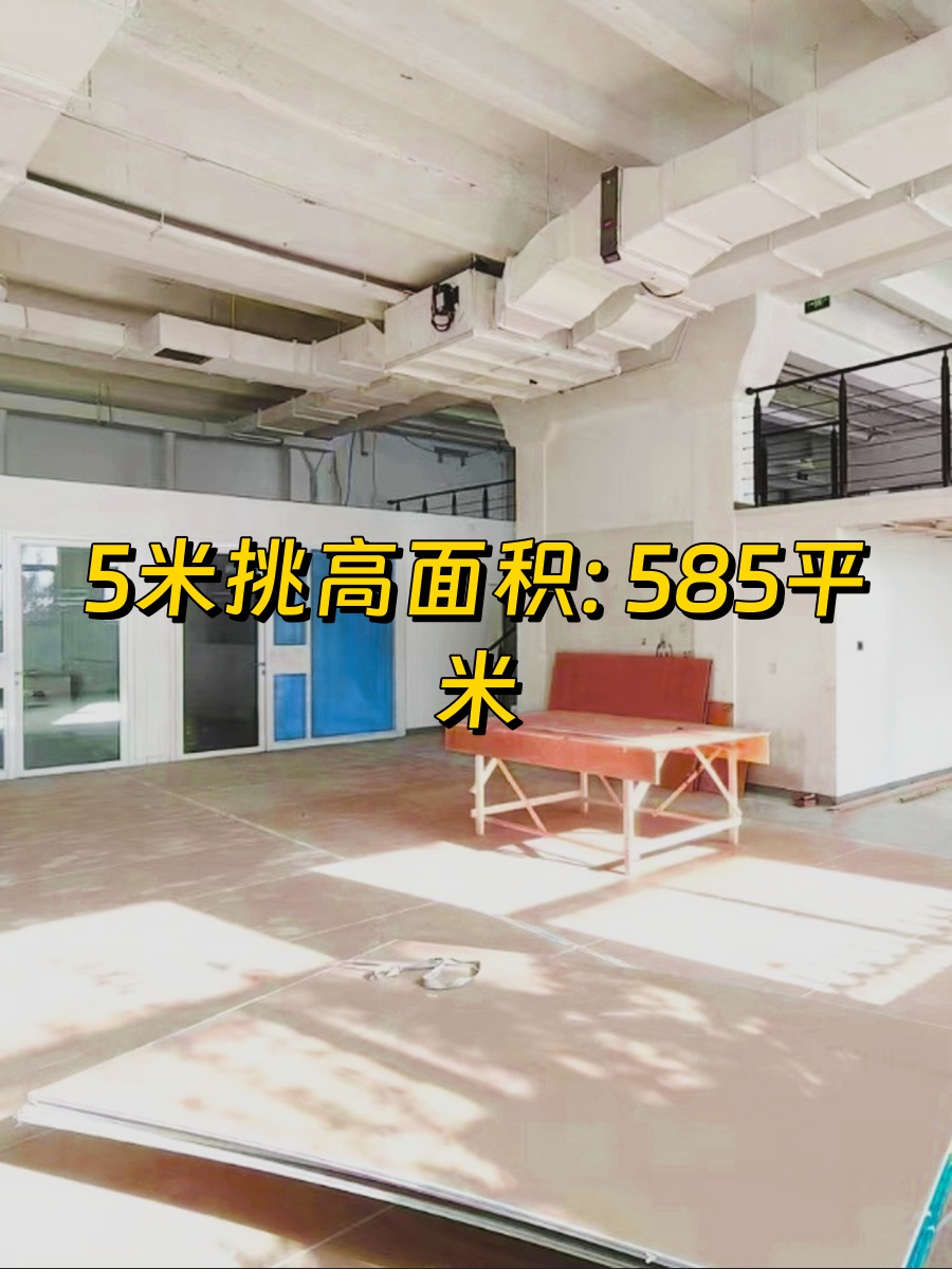 768创意园 老厂房变身 5米层高带花园