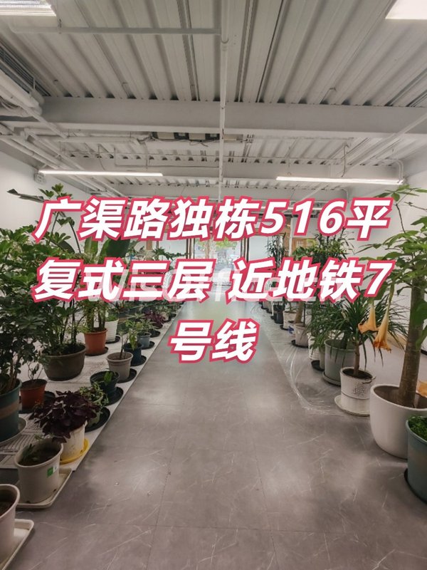 广化大街独栋516平 复式三层 近地铁7号线 - 首图