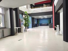 塞隆文创园915平独栋带院 - 缩略图 4