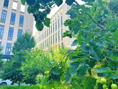 药企行政看过来，降本提效直接拉满 - 缩略图 3