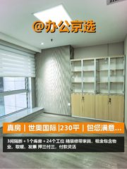 真房｜世奥国际 |230平｜包您满意 - 缩略图 1
