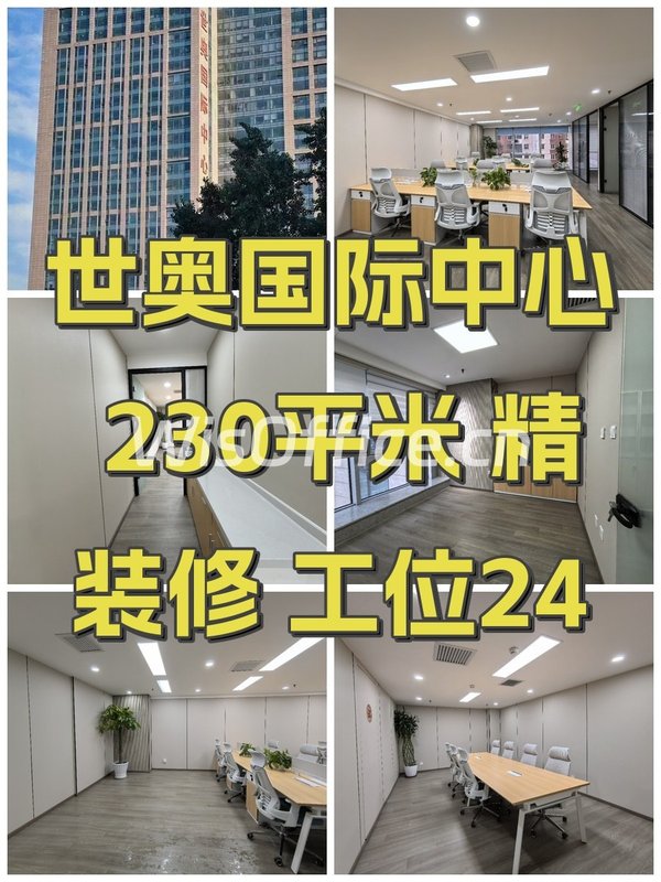 世奥国际中心 230平米 精装修 工位24 - 首图
