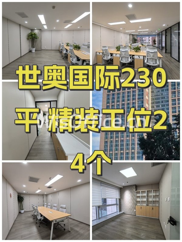 世奥国际230平 精装工位24个 - 首图