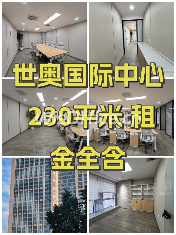世奥国际中心 230平米 租金全含 - 首图