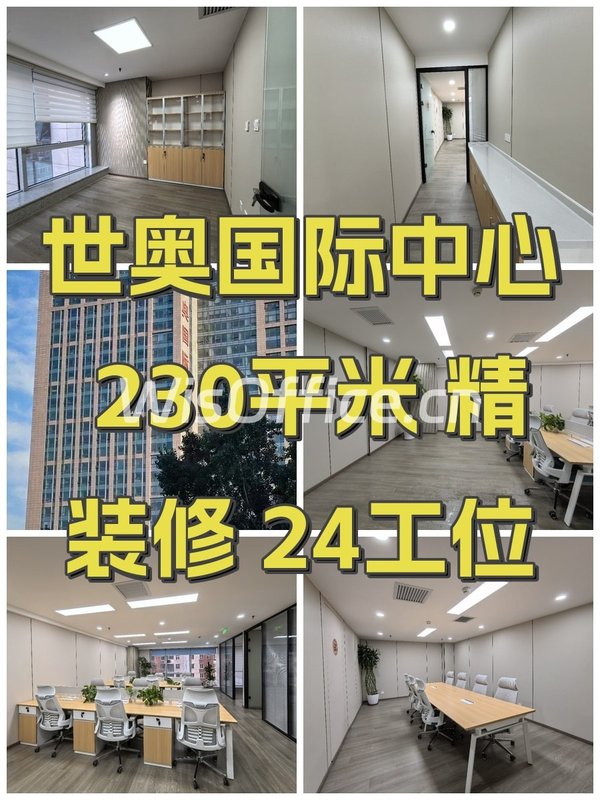世奥国际中心 230平米 精装修 24工位 - 首图