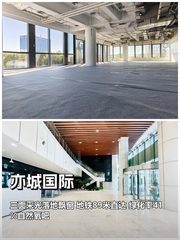 亦城国际｜5层东南西采光，效率提升20% - 缩略图 1